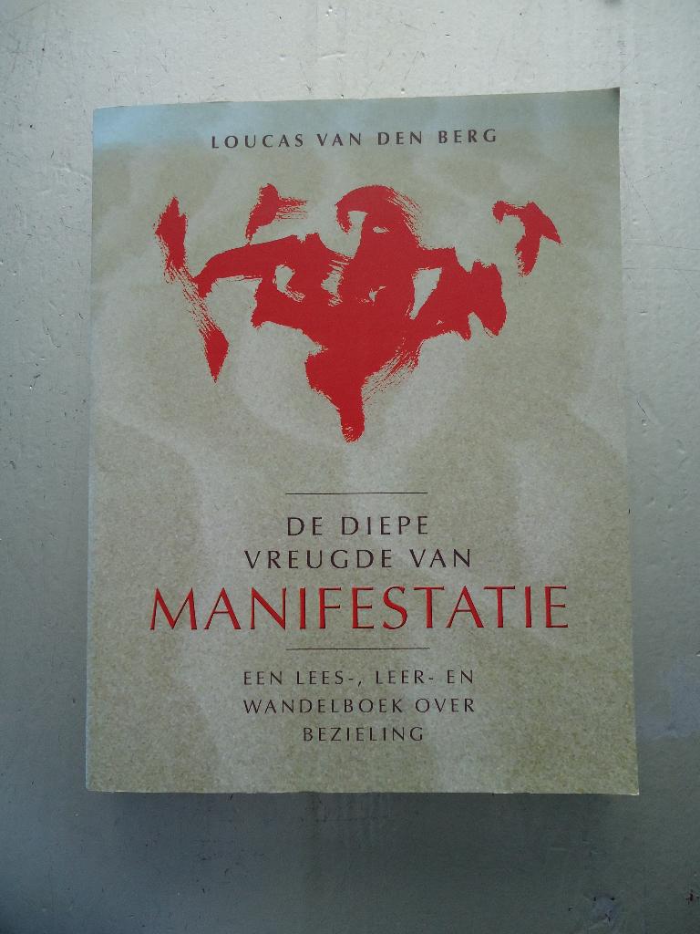 De diepe vreugde van manifestatie, Achtergrond en Informatie, Spiritualiteit algemeen, Ophalen of Verzenden, Zo goed als nieuw