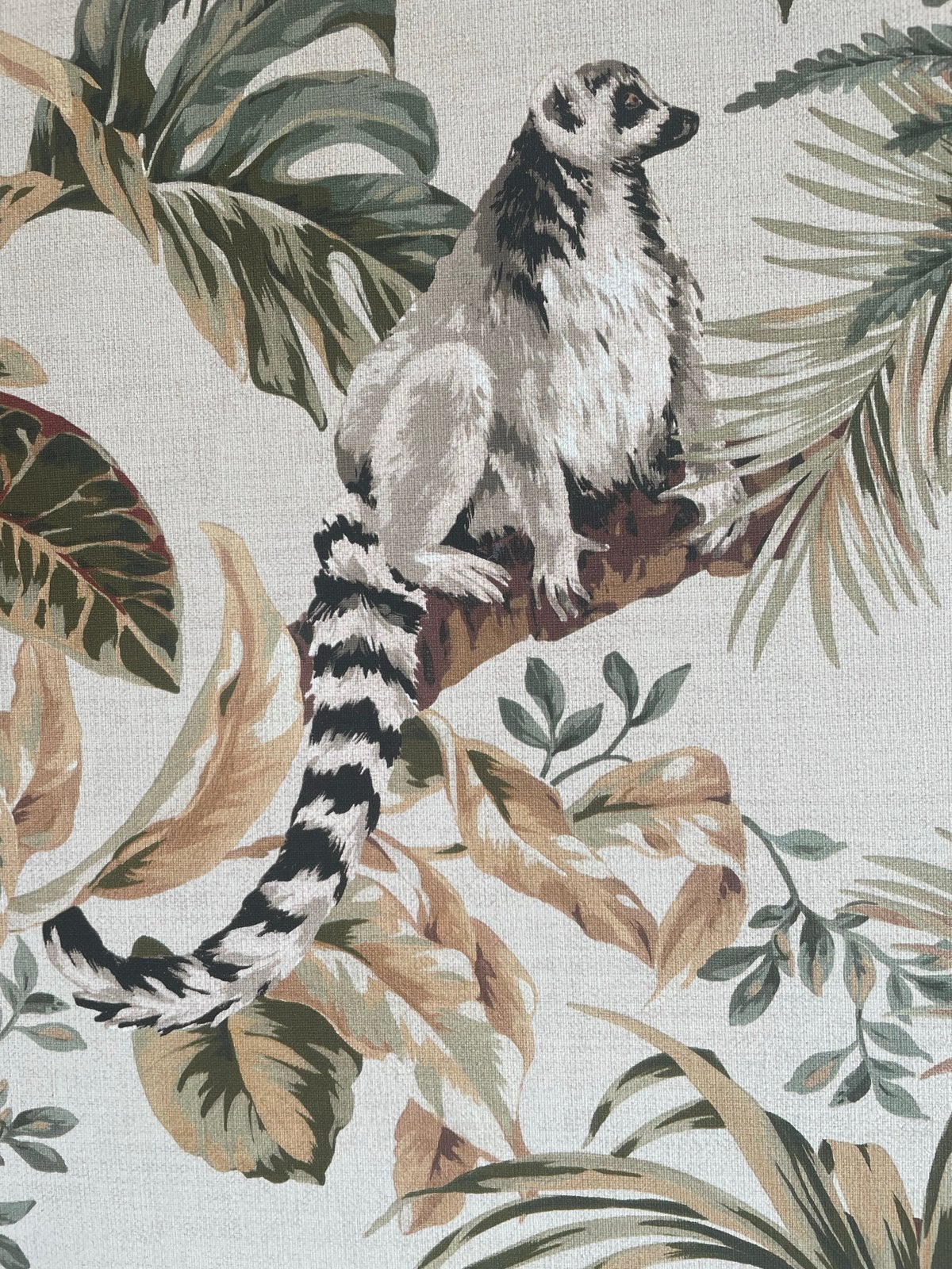 Hooked on Walls Behang - Lemuria Lemuri - ruim 1,5 rol, Ophalen of Verzenden, 10 tot 25 m², Groen
