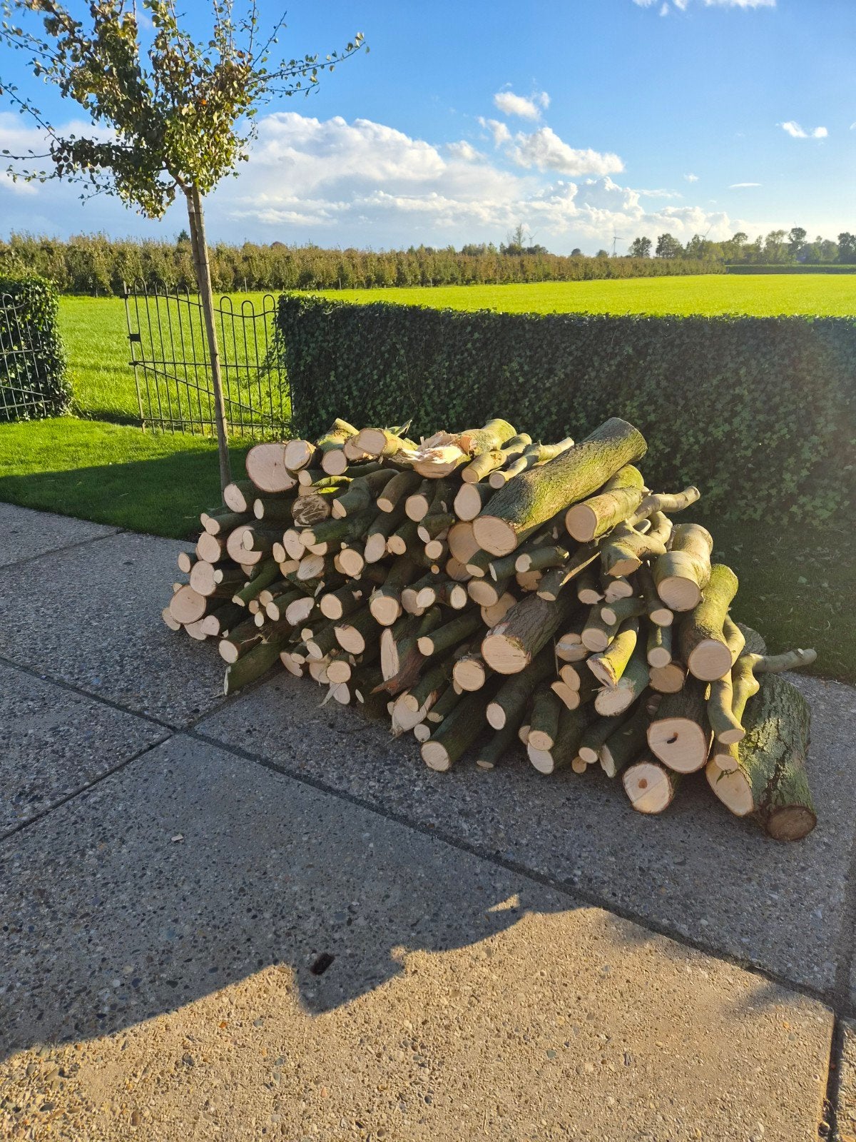 1,5 kuub stammen openhaardhout kachelhout, Minder dan 3 m³, Ophalen, Overige houtsoorten, Stammen