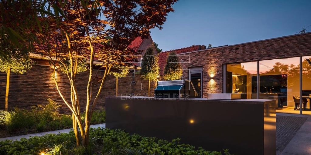 Boomchirurg | Exclusieve boomverzorging op niveau, Tuin en Terras, Planten | Bomen, Ophalen of Verzenden, Bloeit niet, Volle zon