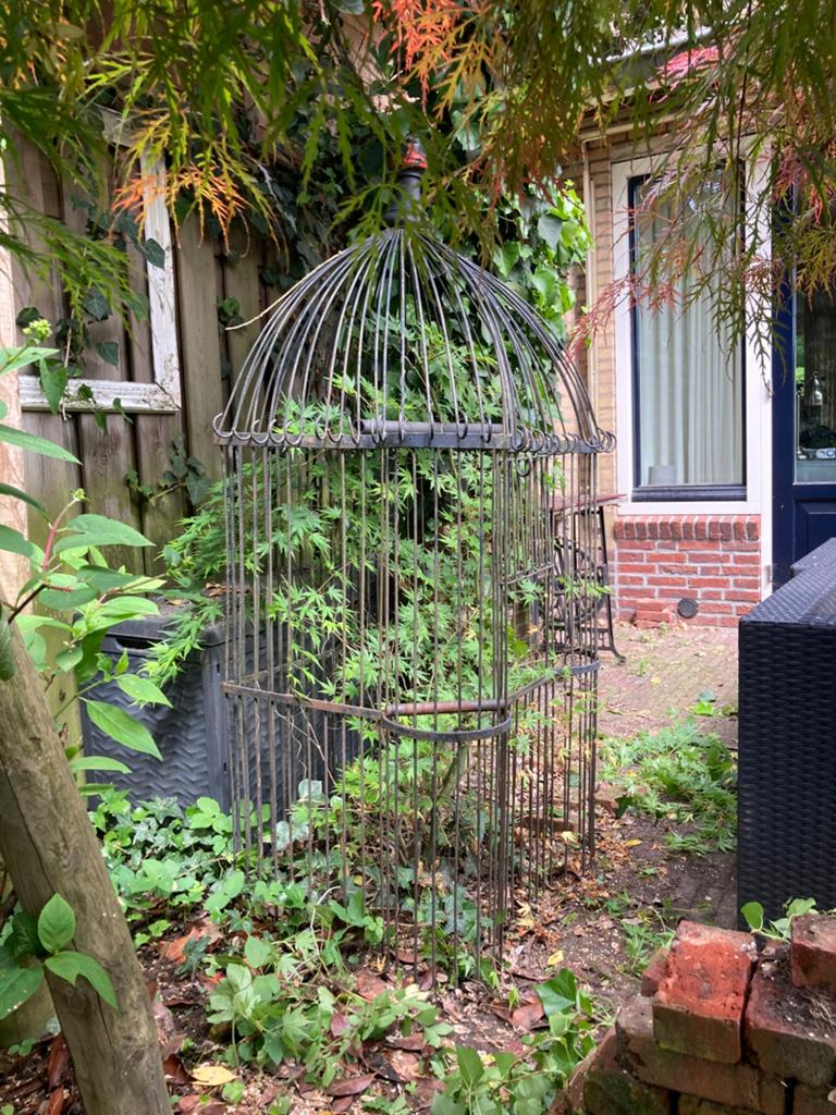 Decoratieve metalen papagaaienkooi, Ophalen, Gebruikt, Metaal, Overige typen