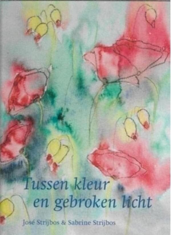 Jose Strijbos Tussen kleur en gebroken licht, Ophalen of Verzenden, Zo goed als nieuw, Schilder- en Tekenkunst