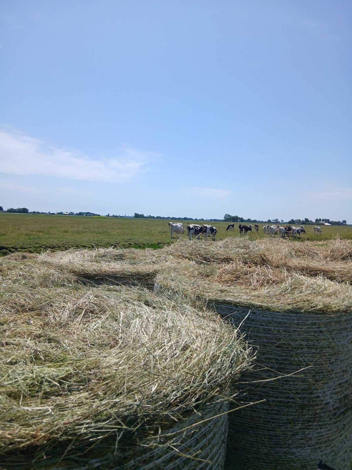 1e snee paardenhooi ( kruidenrijk) midibaaltjes of pakjes