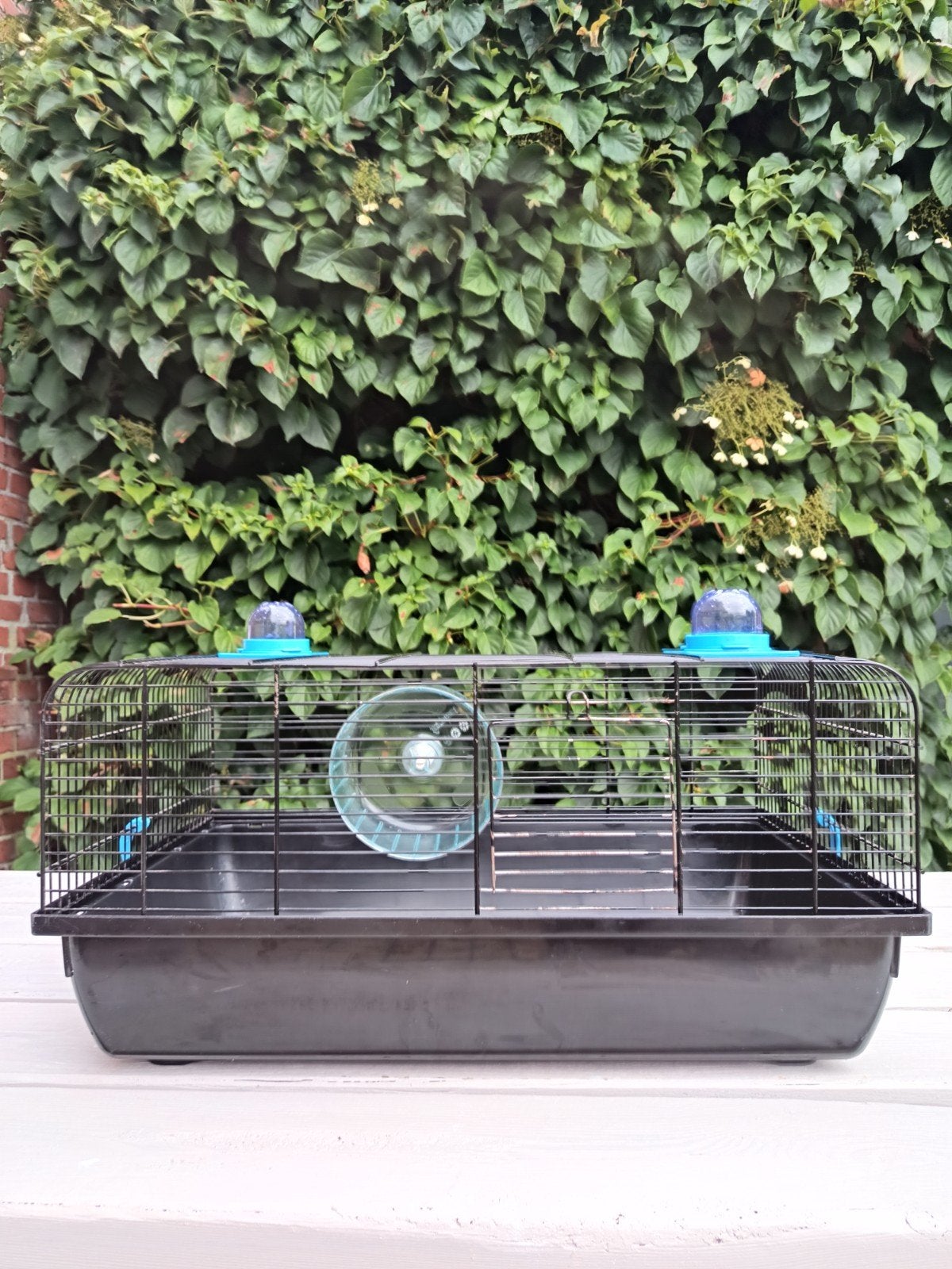 hamsterkooi met diverse accessoires, Dieren en Toebehoren, Ophalen, Gebruikt