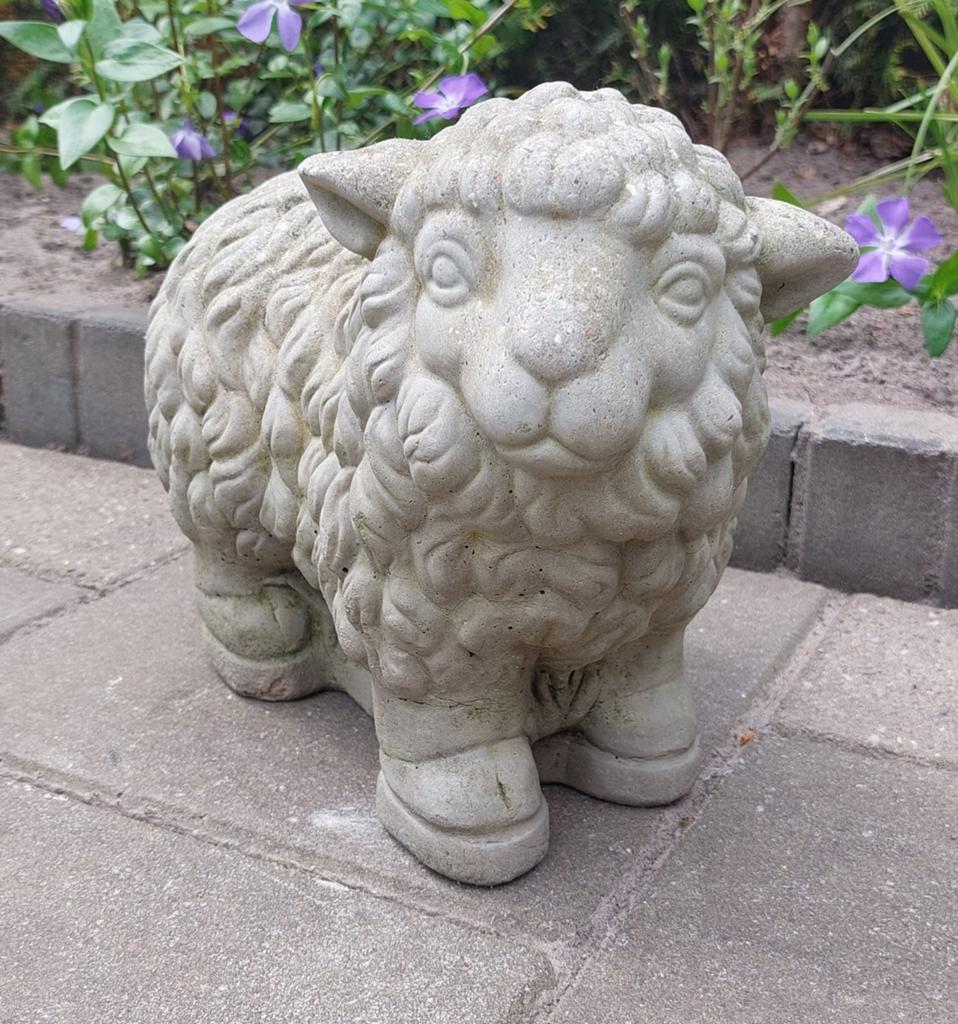 Betonnen schaap tuinbeeld, Ophalen, Gebruikt, Beton, Dierenbeeld