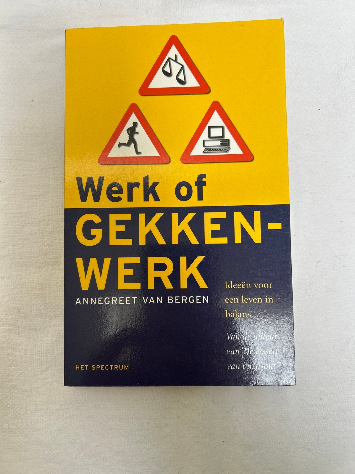 Werk of Gekkenwerk - Annegreet van Bergen, Ophalen of Verzenden, Zo goed als nieuw, Nederland