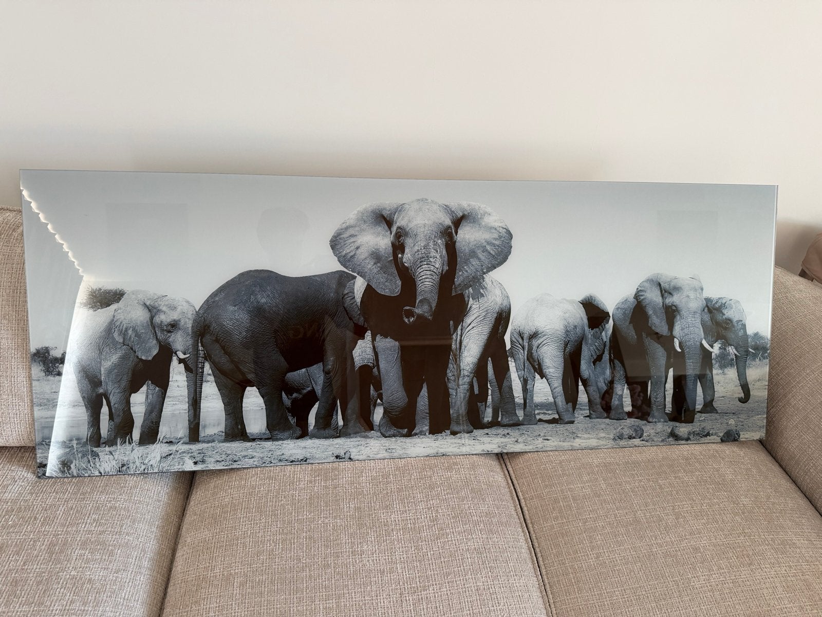 Glazen schilderij olifanten zwart-wit 160x60cm, Ophalen, 50 – 75, 125 cm of meer, Zo goed als nieuw