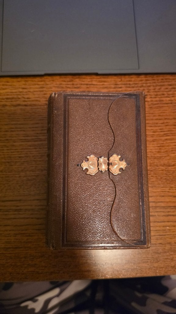 Nieuw Testament uit 1875 met leren omslag met beslag, Antiek en Kunst, Ophalen of Verzenden, Staten-Generaal der Vereenigde Nederlanden
