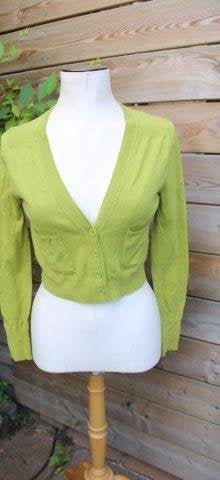 Vest groen Caroline Biss mt 36 Vaste prijs OPRUIMING, Kleding | Dames, Ophalen of Verzenden, Zo goed als nieuw, Maat 36 (S), Caroline Biss