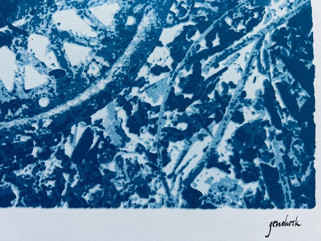 Zeefdruk Genohork, Gesigneerd, Verzenden, Zeefdruk