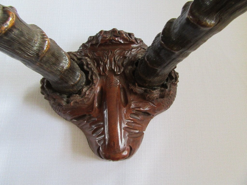 Afrikaans antilope hoorns gewei taxidermie impala jacht, Verzenden, Zo goed als nieuw, Afrikaans, Bruin