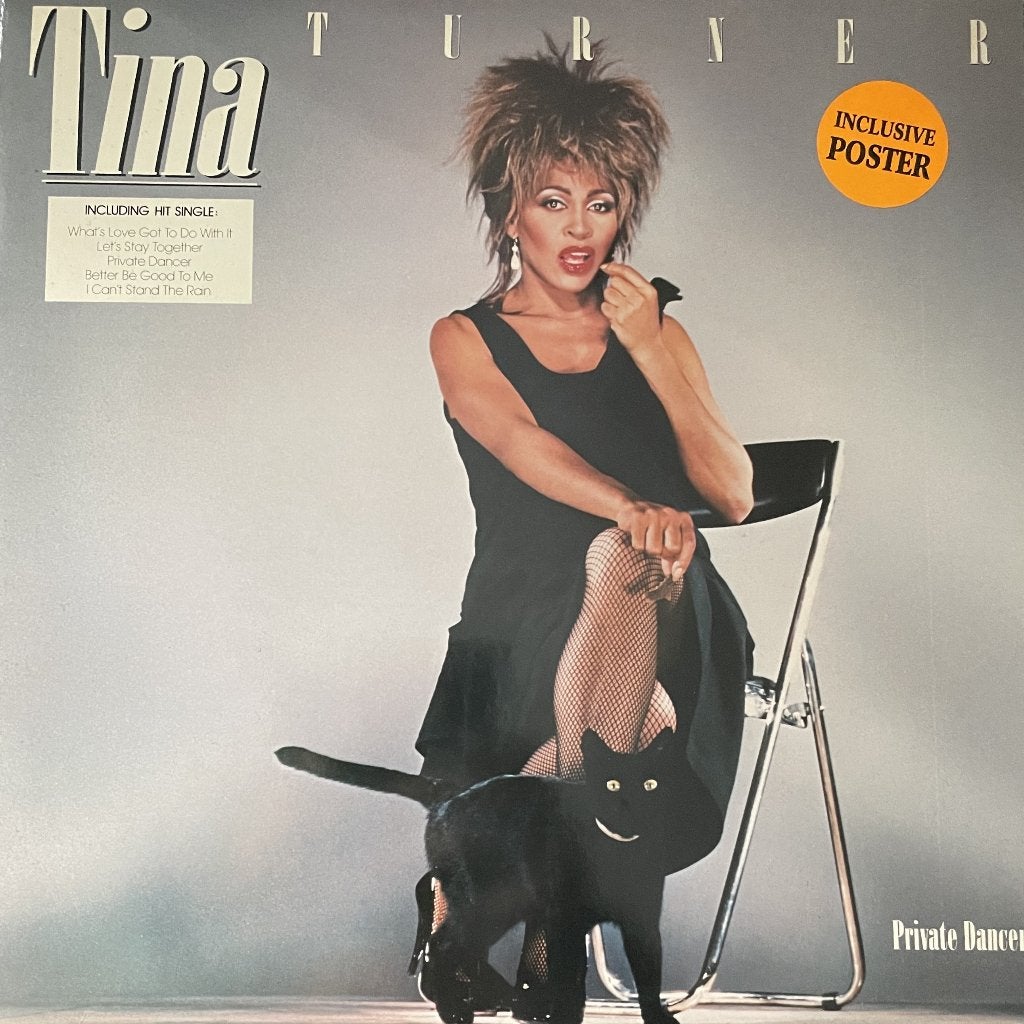 LP: Tina Turner - Private Dancer, Ophalen of Verzenden, Zo goed als nieuw, 12 inch