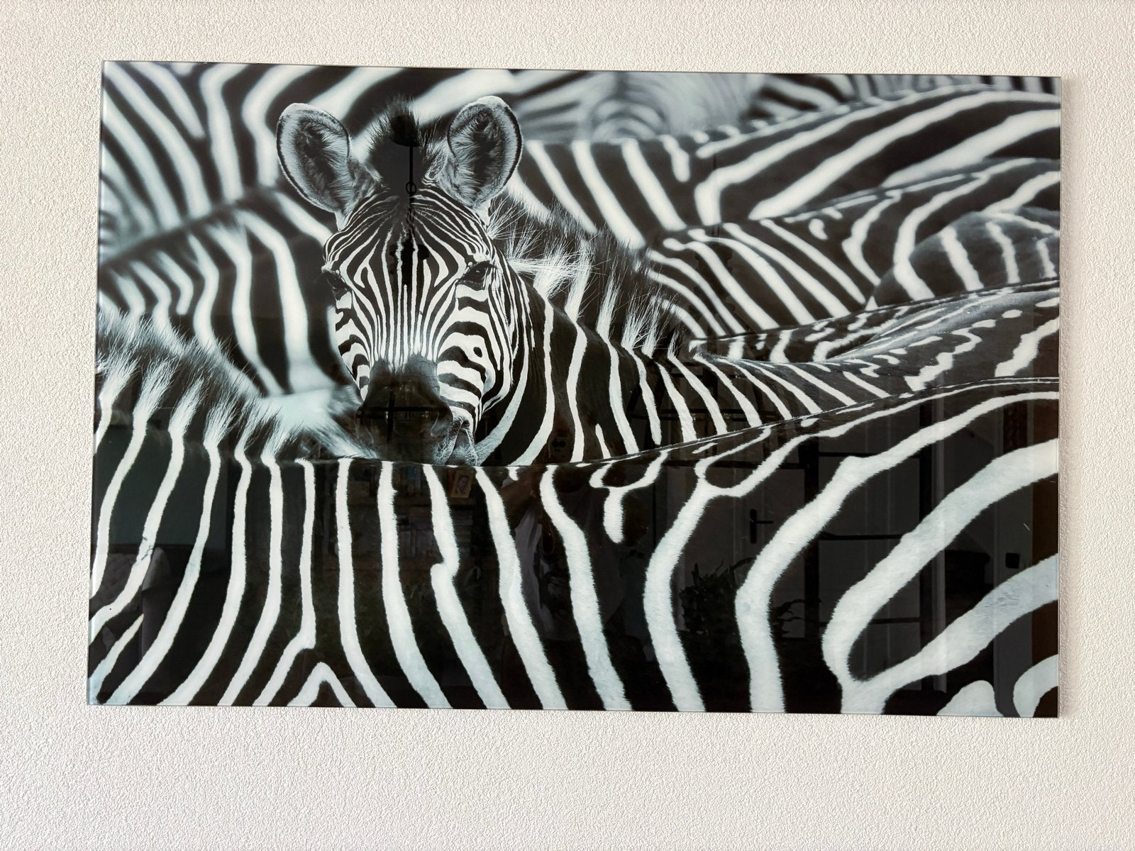 Zebra schilderij op glas - Modern en stijlvol, Ophalen of Verzenden, Zo goed als nieuw, Schilderij, 100 tot 125 cm