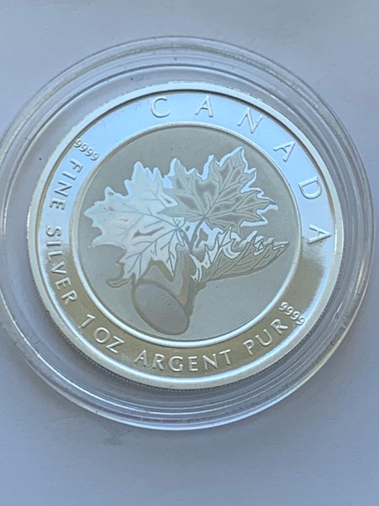 Fluoriderende maple leaf zilver 1 oz 2003 zeldzaam, Ophalen of Verzenden, Zilver