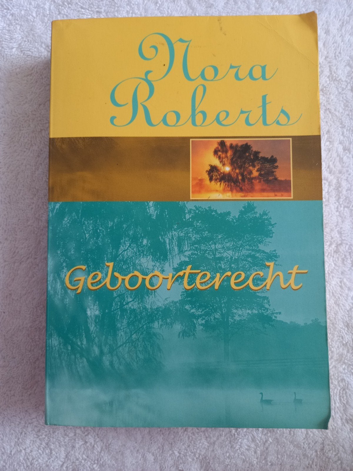 p01 Nora Roberts - Geboorterecht (roman), Ophalen of Verzenden, Gelezen, Nora Roberts, Nederland