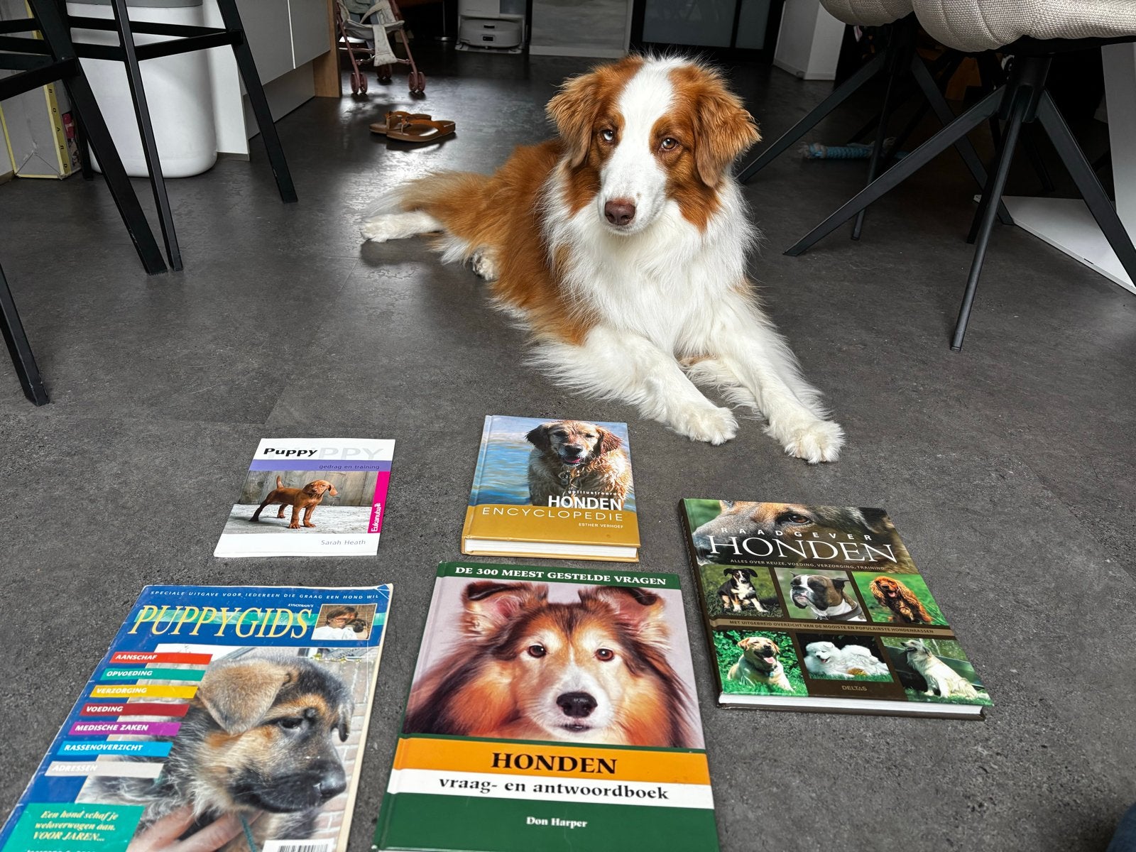 Hondenboeken set: 3x hardcover, Eukanuba gids & tijdschrift, Ophalen of Verzenden, Gelezen, Honden