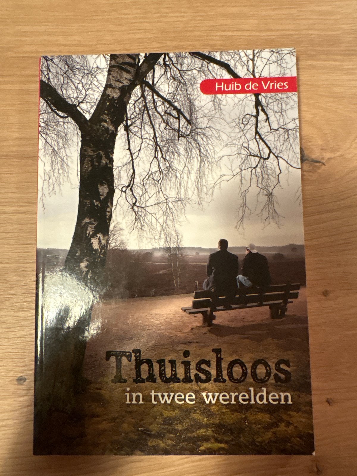 Thuisloos in twee werelden - Huib de Vries, Boeken, Ophalen of Verzenden, Gelezen, Nederland