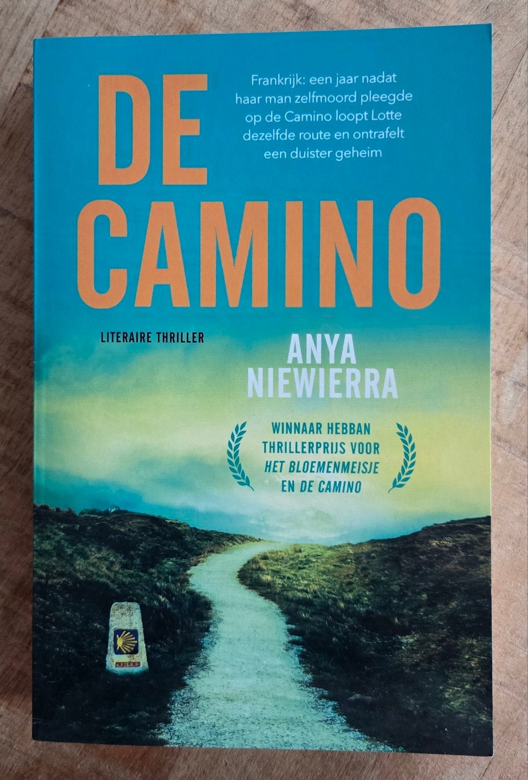 Anya Niewierra - De Camino, Boeken, Ophalen of Verzenden, Zo goed als nieuw, Anya Niewierra
