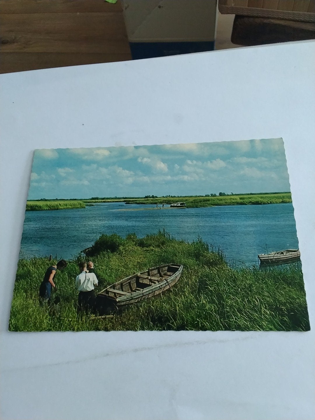 Oude Ansichtkaart Biesbosch - Uniek watersportgebied, Ophalen of Verzenden