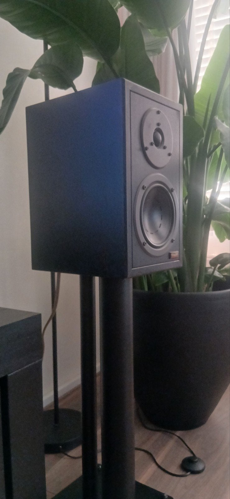 Dynaudio contour 1