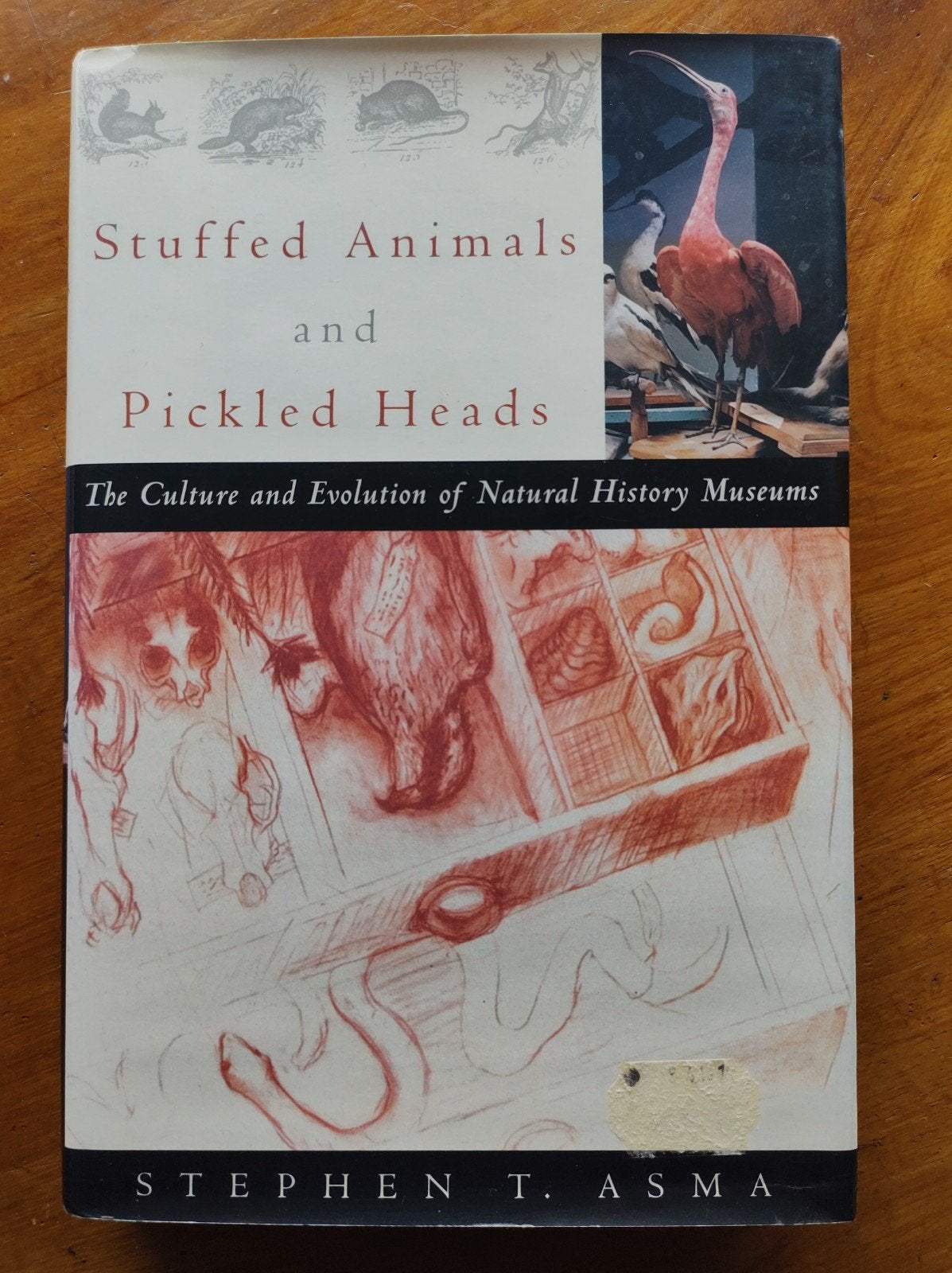 Stuffed Animals and Pickled Heads - Stephen T. Asma, Ophalen of Verzenden, Zo goed als nieuw, Stephen T. Asma, Amerika