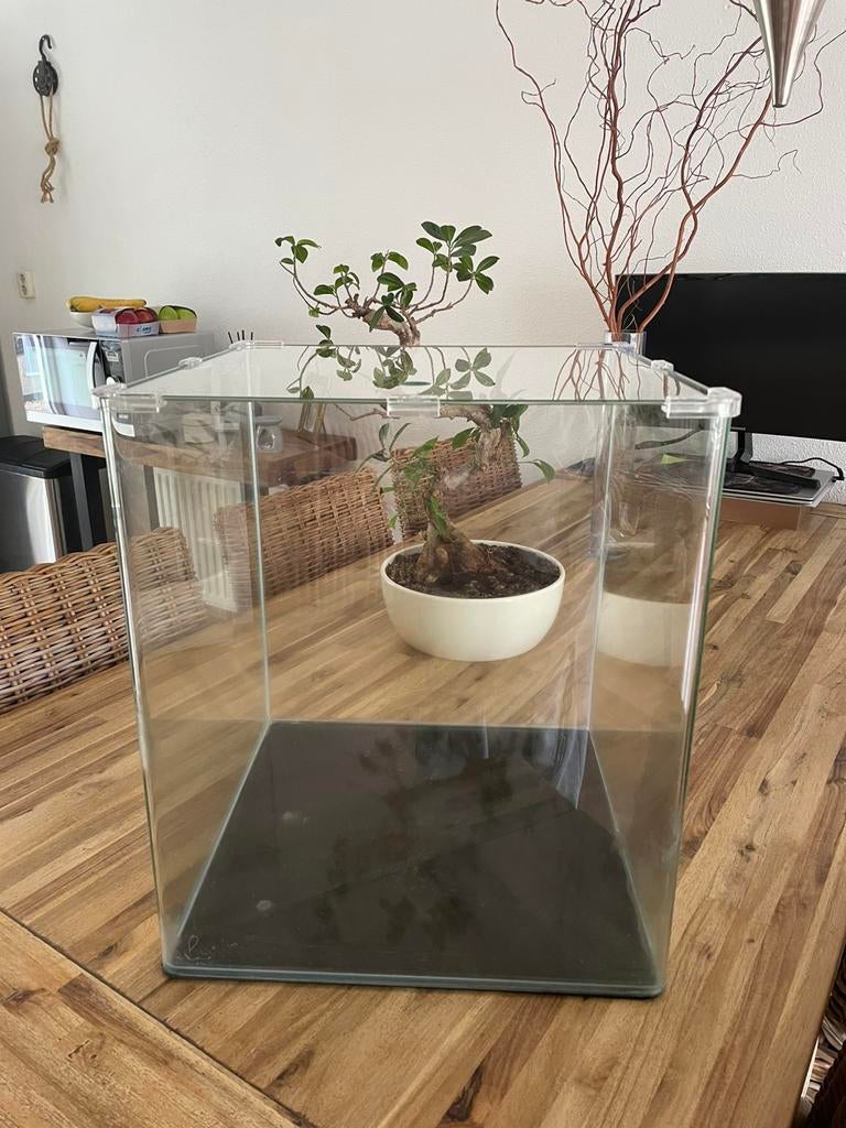 Aquarium 59l, Ophalen, Gebruikt, Aquatlantis, Leeg aquarium