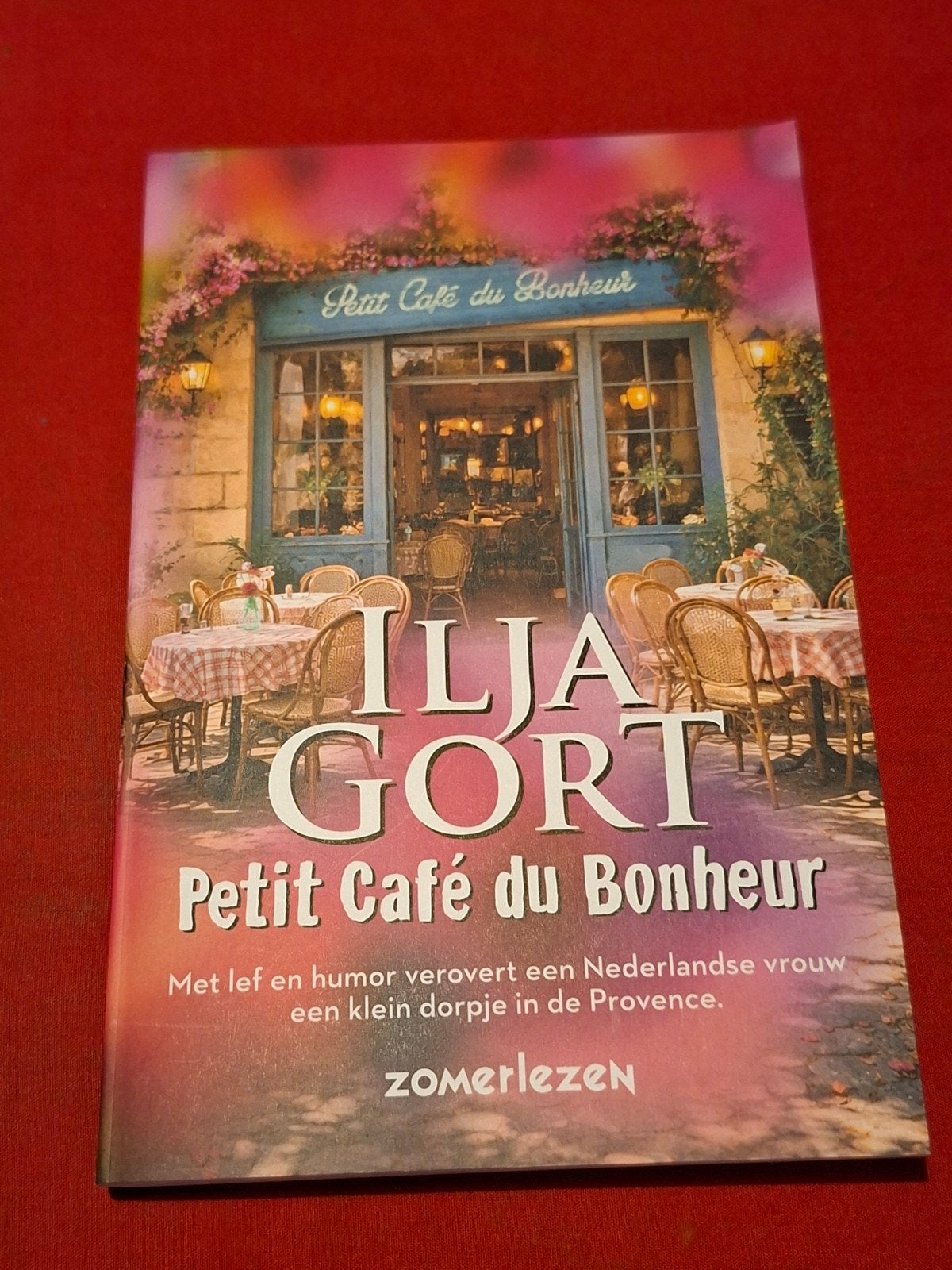Petit Café du Bonheur. Ilja Gort. Zomerlezen 2026, Ophalen of Verzenden, Zo goed als nieuw