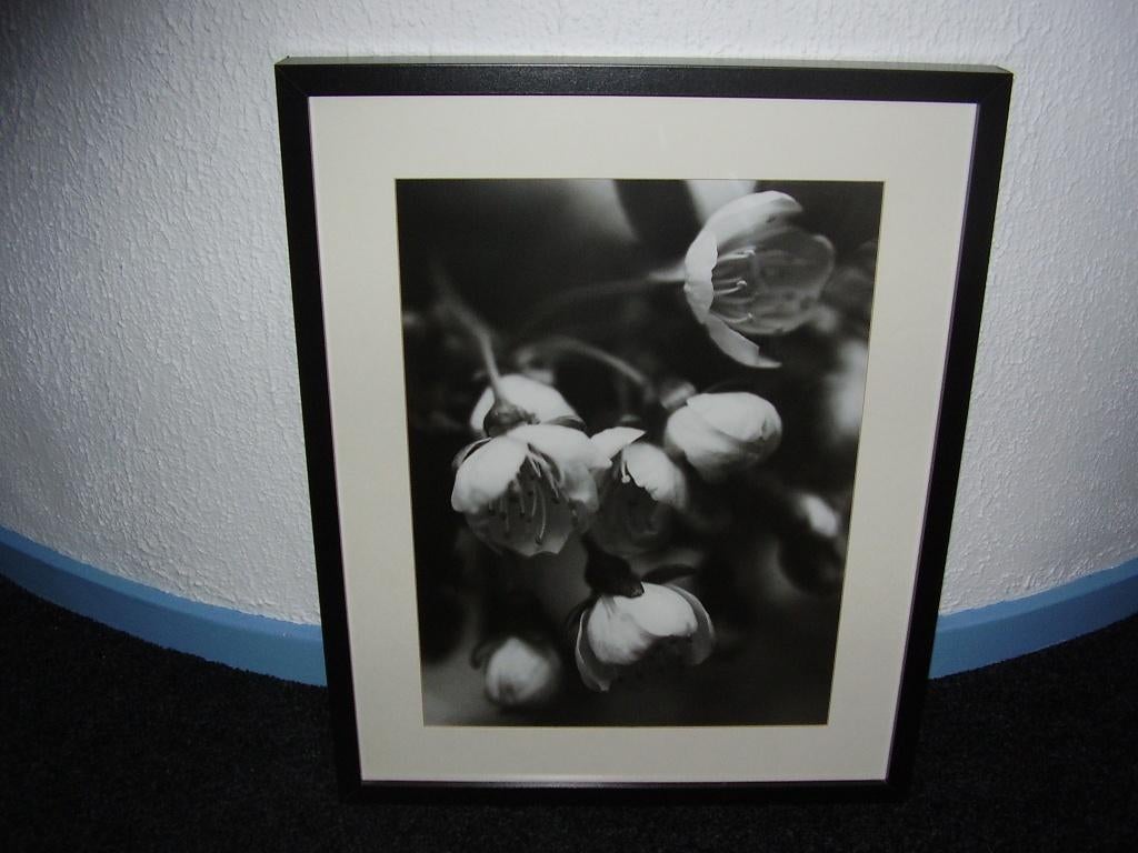 Schilderij Orchidee Ikea 3 stuks, Ophalen, Minder dan 50 cm, Gebruikt, 50 tot 75 cm