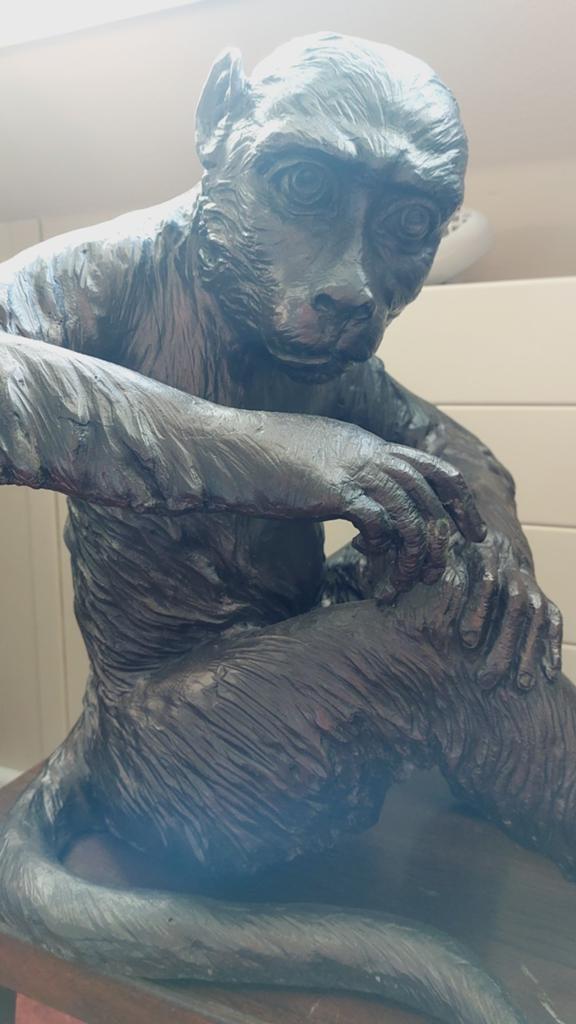 Bronzen aap, Antiek en Kunst, Kunst | Beelden en Houtsnijwerken, Ophalen