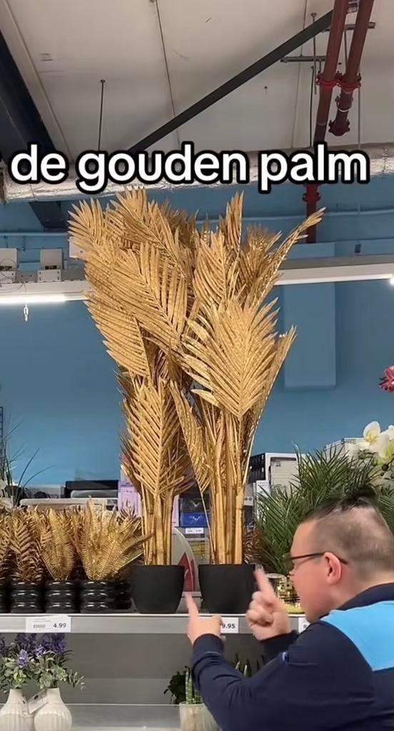 Gouden palmboom Action gezocht, Huis en Inrichting, Ophalen of Verzenden, Zo goed als nieuw, Binnen