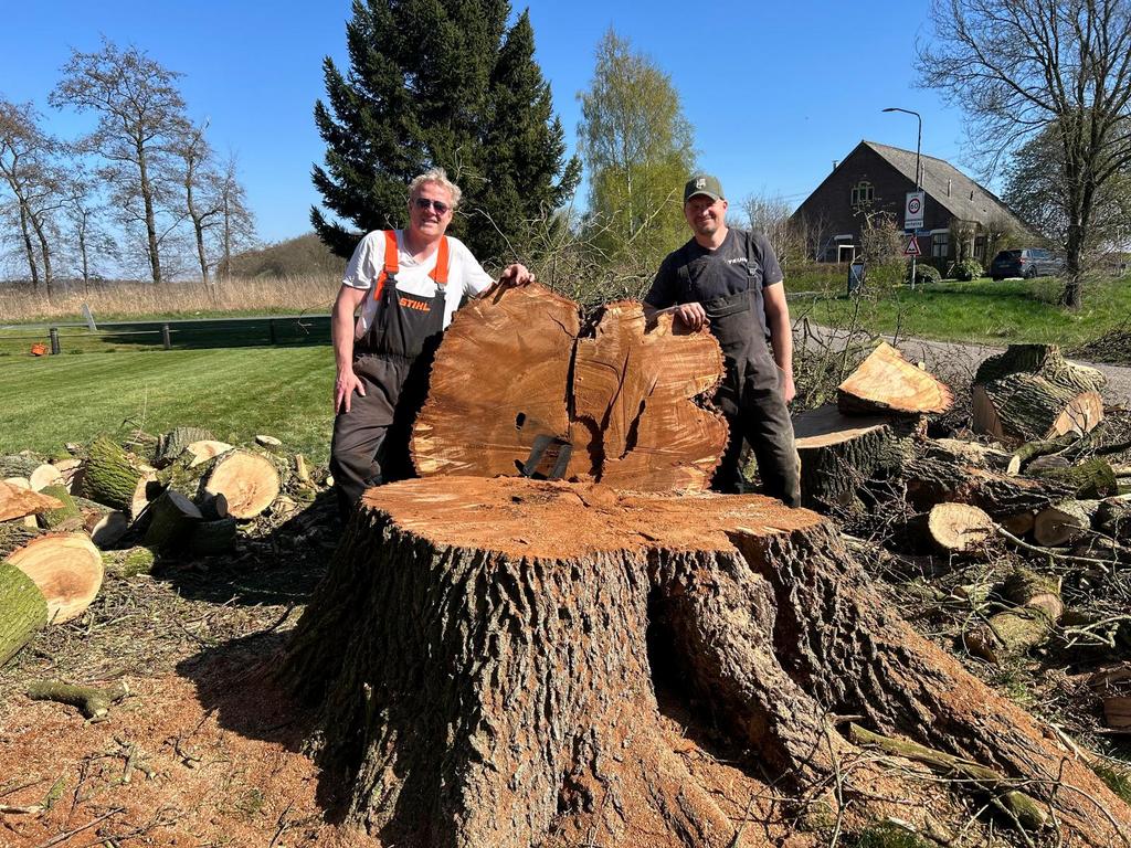 Gratis: bomen om te kappen voor brandhout, Tuinonderhoud of Snoeiwerk