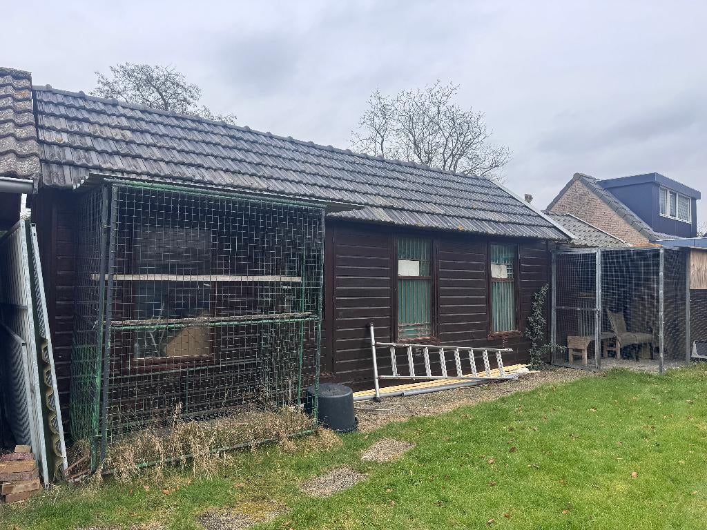 Duivenhok (+- 10 x 3 meter), Ophalen, Gebruikt, Hout, Vogelkooi