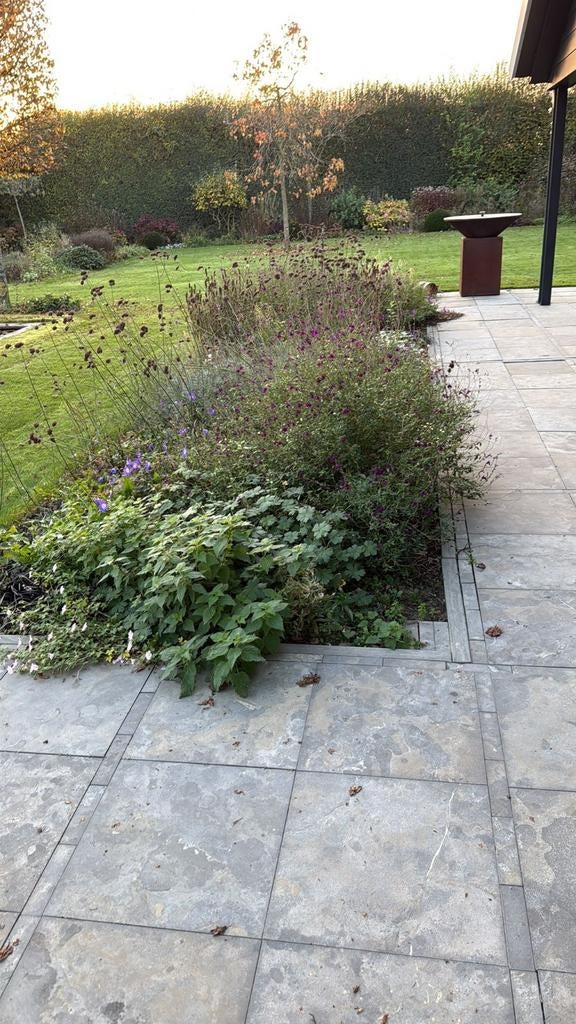 Nog 25 m2 Chinees hardsteen terrastegels, 50x50x3 cm. 60 st., Ophalen, Natuursteen, 10 m² of meer, Terrastegels
