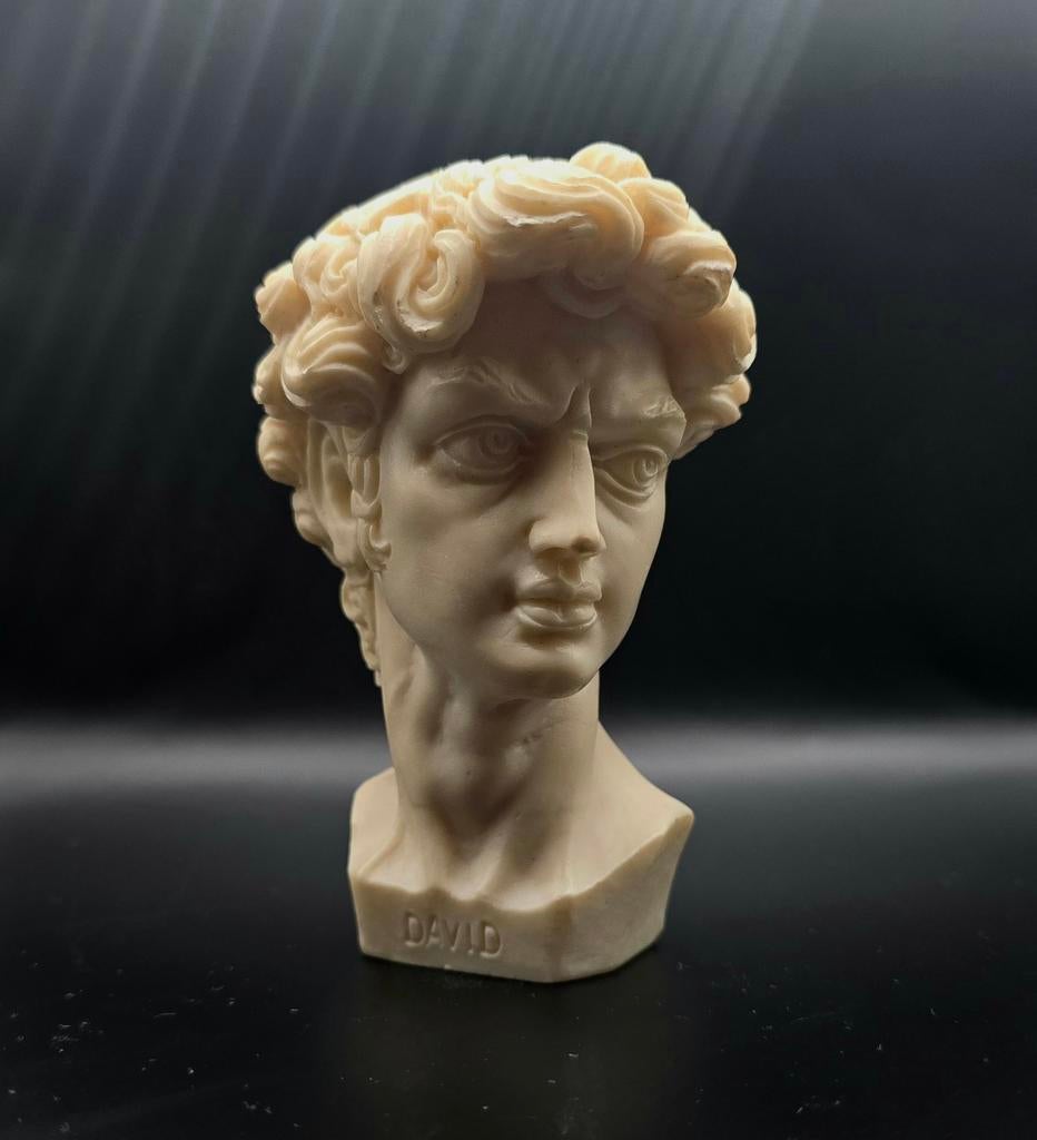 Vintage Buste,Beeld David Italiaans, Antiek en Kunst, Ophalen of Verzenden