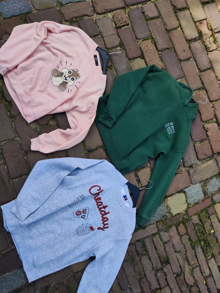 Leuke dames sweaters - diverse kleuren en maten, Kleding | Dames, Truien en Vesten, Zo goed als nieuw, Maat 38/40 (M), Overige kleuren