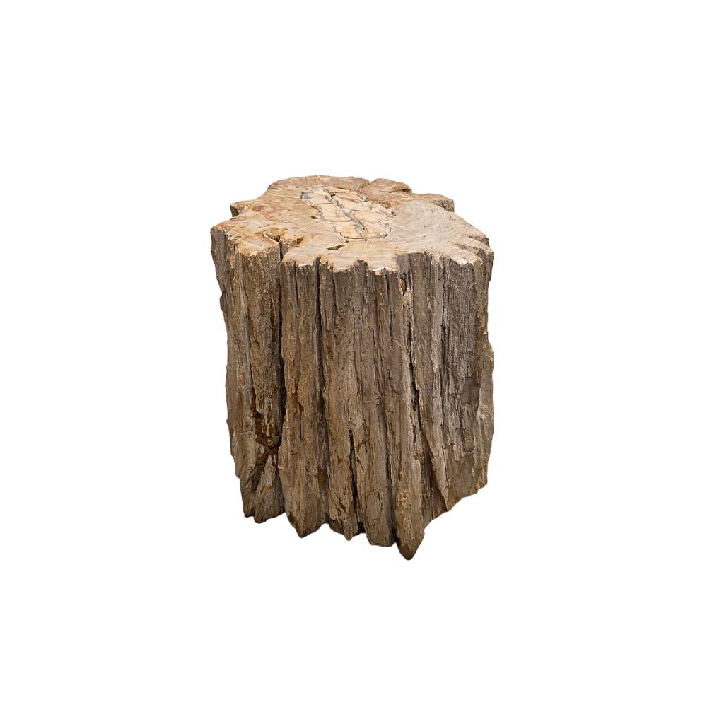 Versteend hout als bijzettafel, Ophalen