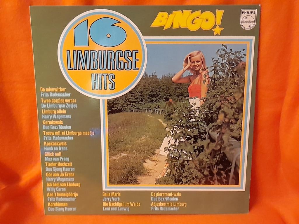 16 Limburgse hits BINGO! Hits uit de jaren '50 en '60, Cd's en Dvd's, Ophalen of Verzenden, Zo goed als nieuw, 12 inch, Levenslied of Smartlap