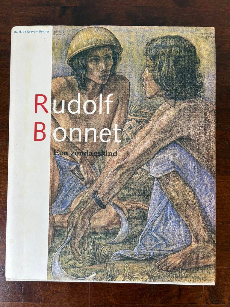 Boek Rudolf Bonnet een zondagskind, Boeken, Ophalen of Verzenden, Gelezen, Schilder- en Tekenkunst