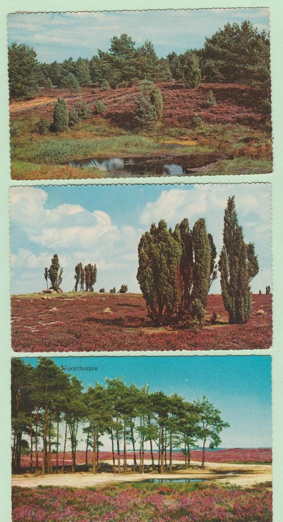 Voorthuizen -Gl. 3x Vakantiepark ca. 1965 samen voor € 1,50., Ophalen, 1960 tot 1980, Gelopen, Gelderland