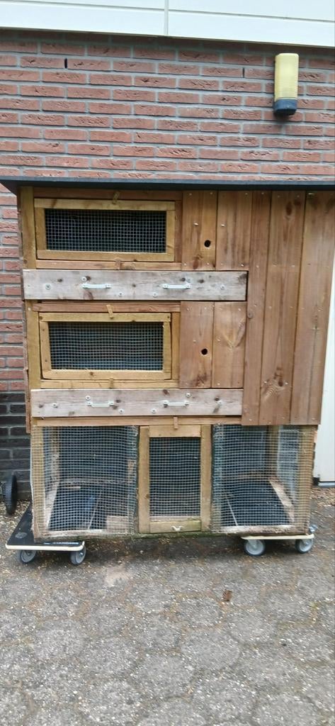 Konijnenhok te koop, Ophalen of Verzenden, 90 cm of meer, Konijn, Hok