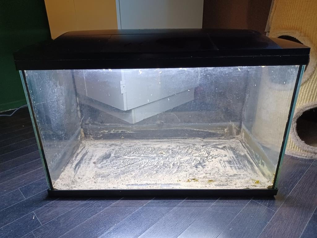 Aquarium lek. Goed voor hamsters, Dieren en Toebehoren, Januari, Vrouwelijk, Hamster