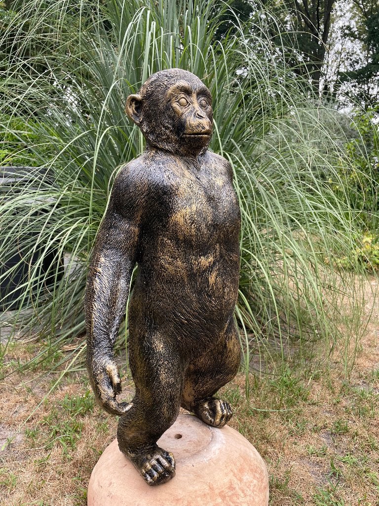 Beeld Stoere aap, tuin, vijver, dieren 80cm, Ophalen, Nieuw, Kunststof, Dierenbeeld