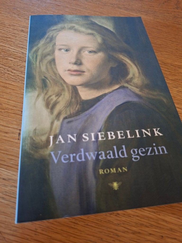 Jan Siebelink, Verdwaald gezin, Ophalen of Verzenden, Zo goed als nieuw