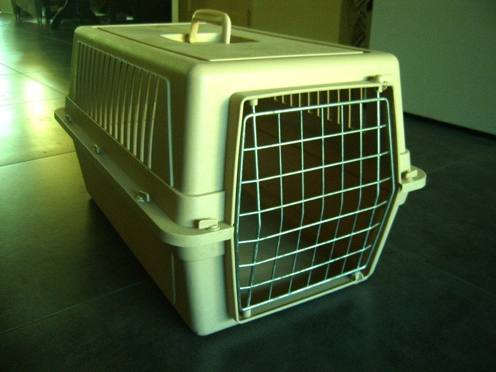 Reisbox voor katten / kleine huisdieren, Ophalen, Gebruikt, Polyester