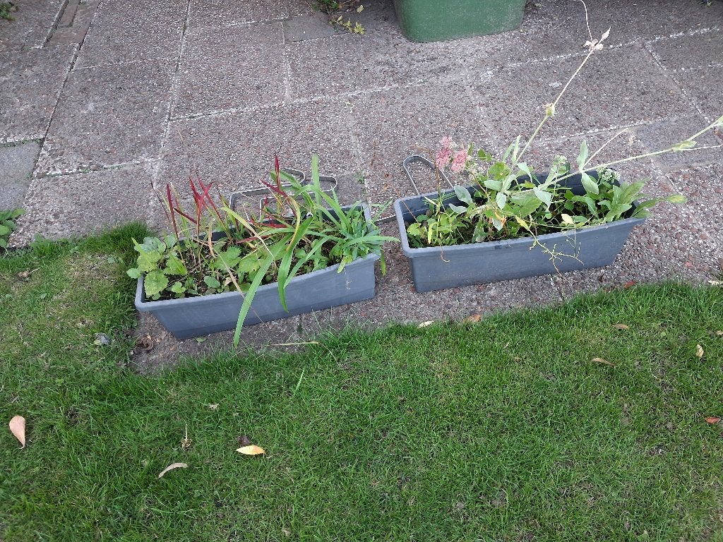 tuin balkon 2 plantenbakken vaste planten 4 ijzeren haken, Tuin en Terras, Ophalen, Kunststof, Gebruikt, Minder dan 30 cm