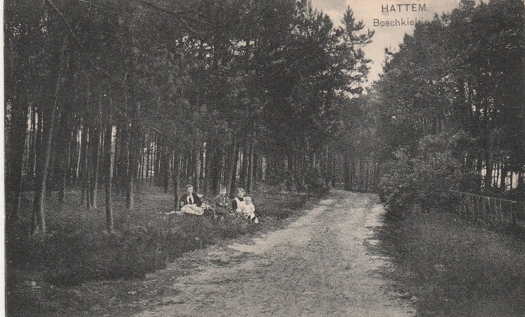 hattem- boskiekje, Ophalen of Verzenden, Gelderland
