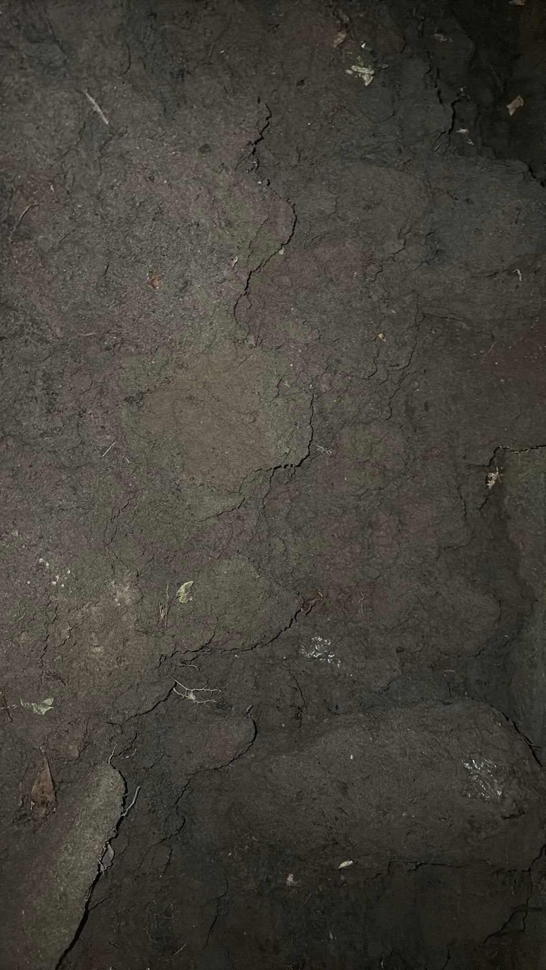 Zwart zand voor de tuin., Ophalen, Overige typen