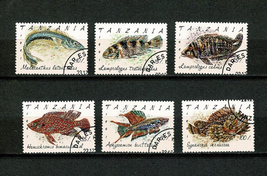 Vissen / zeedieren : 1991 - Tanzania, Verzenden, Gestempeld, Dier of Natuur