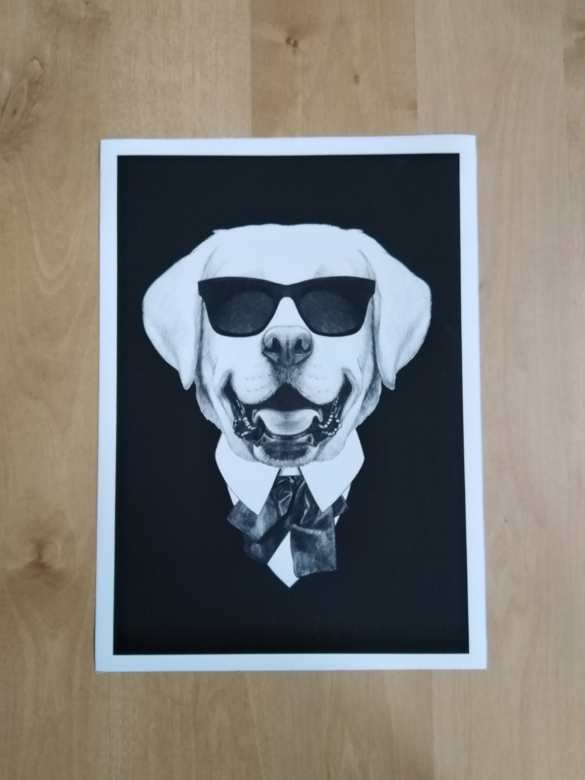 Canvas poster labrador met zonnebril, Ophalen of Verzenden, Nieuw, Minder dan 50 cm, Foto of Poster