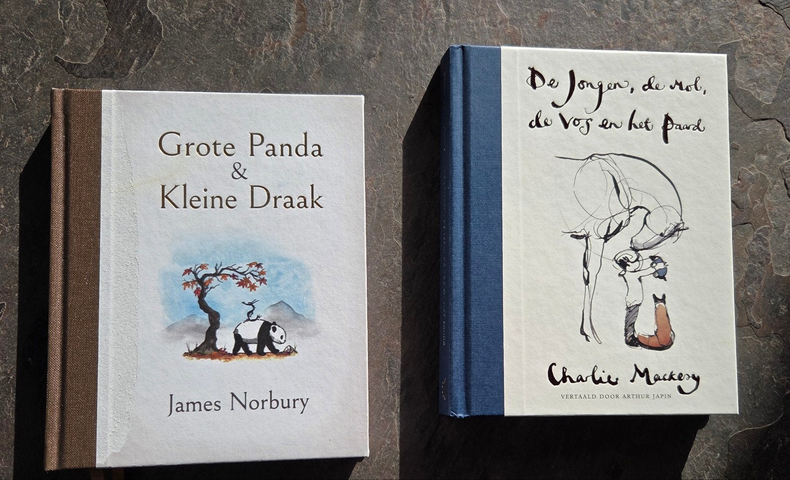 2 Toptitels: De Jongen, de Mol, enz. ÉN Grote Panda & kleine, Ophalen of Verzenden, Nederland